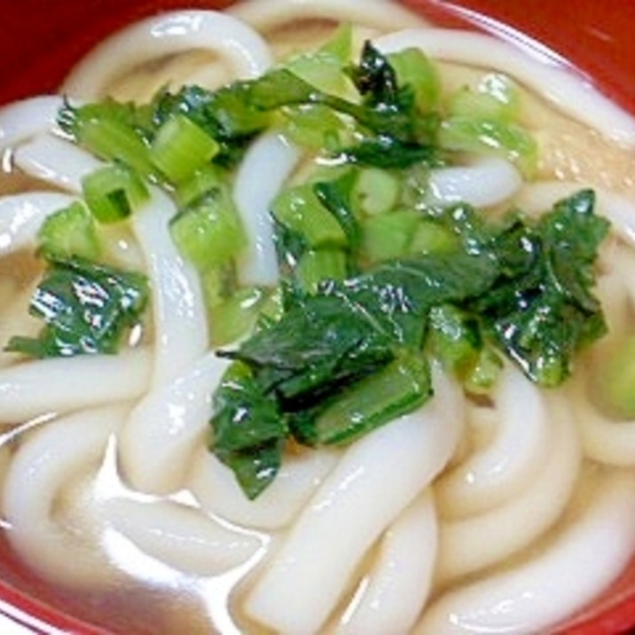 野沢菜の漬物と油揚げのうどん